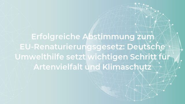 Pressemeldung:Erfolgreiche Abstimmung zum EU-Renaturierungsgesetz: Deutsche Umwelthilfe setzt wichtigen Schritt für Artenvielfalt und Klimaschutz