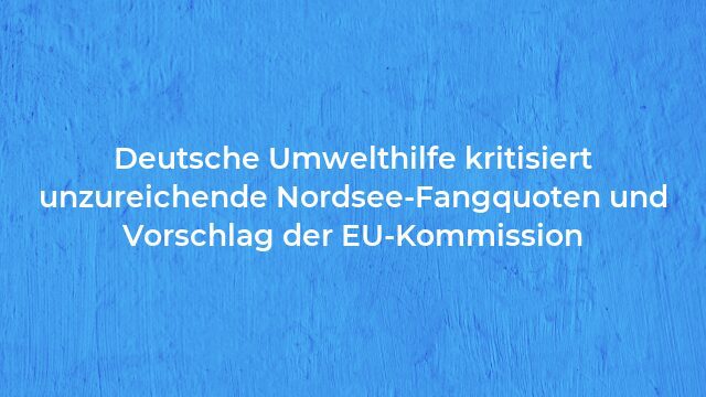 Pressemeldung:Deutsche Umwelthilfe kritisiert unzureichende Nordsee-Fangquoten und Vorschlag der EU-Kommission