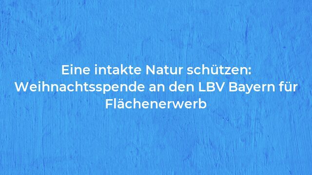Pressemeldung:Eine intakte Natur schützen: Weihnachtsspende an den LBV Bayern für Flächenerwerb