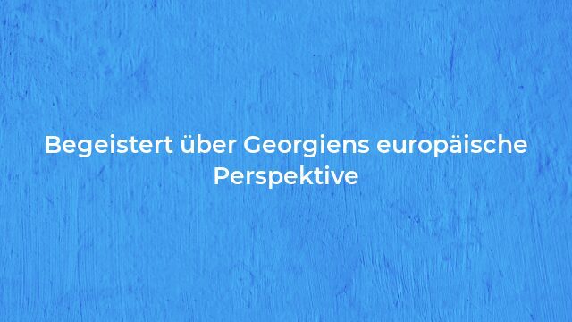 Pressemeldung:Begeistert über Georgiens europäische Perspektive